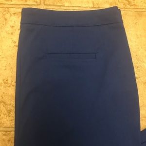 Dalia Pants - EUC plus size woman’s ankle pants Dalia Pants - EUC plus size woman’s ankle pants